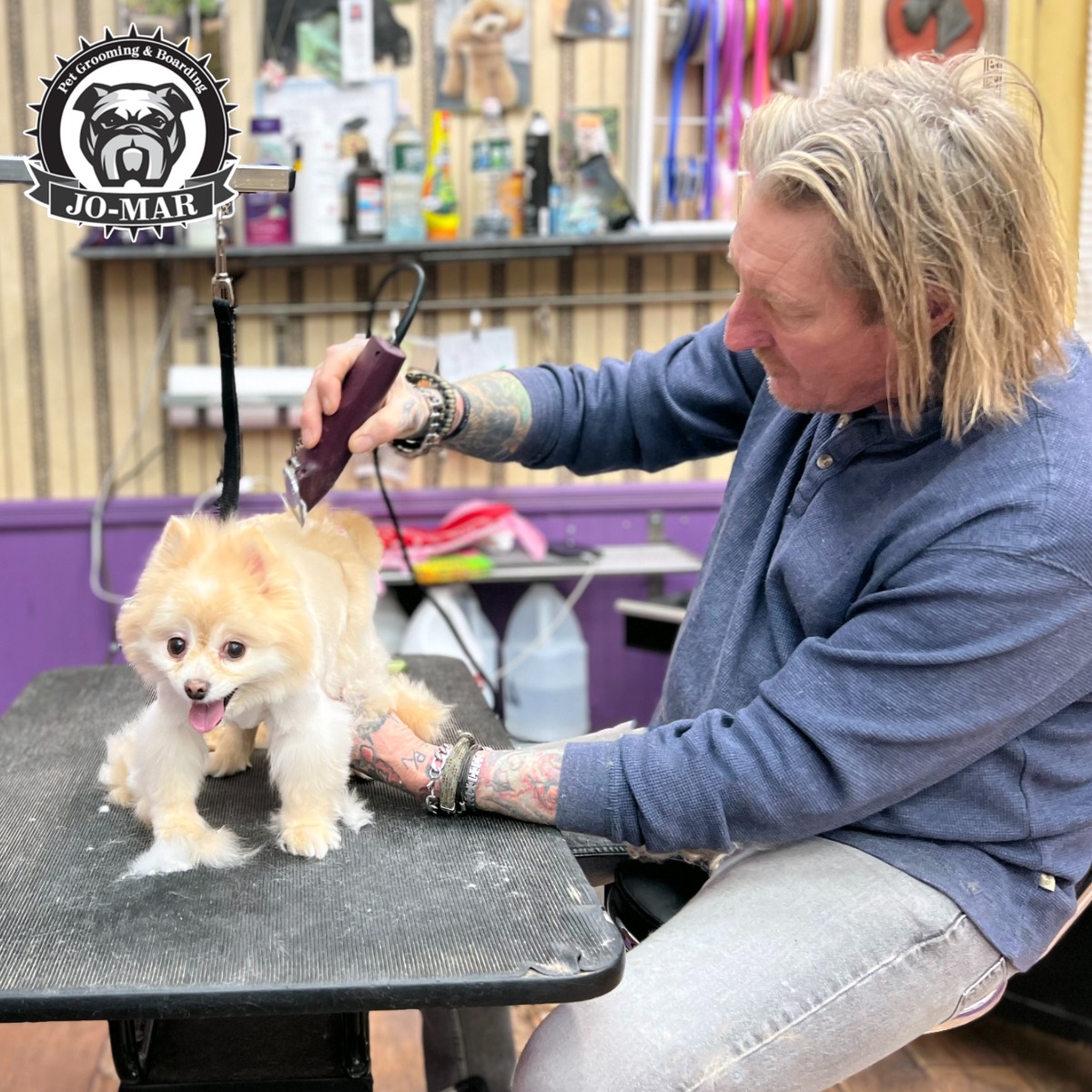 Owner Scott Grasman trimming a small dog